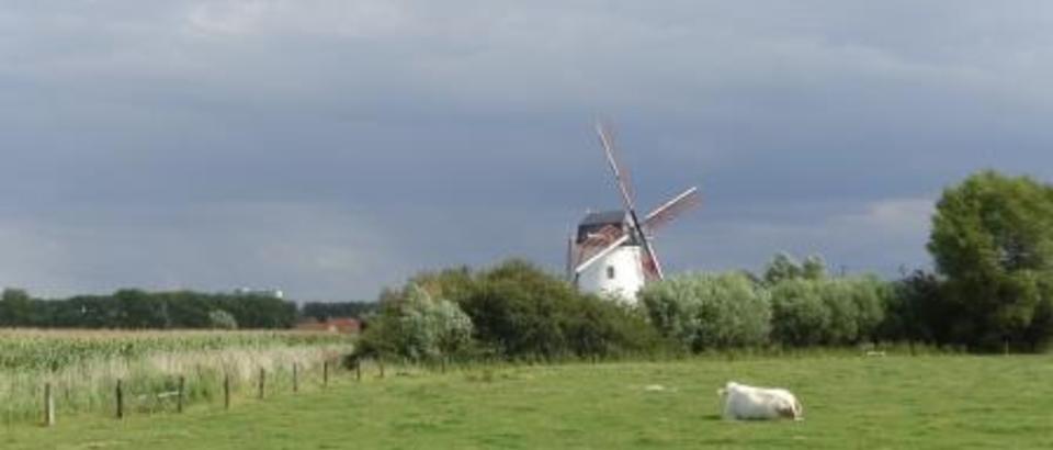 20140814 Molen Meetkerke (1)