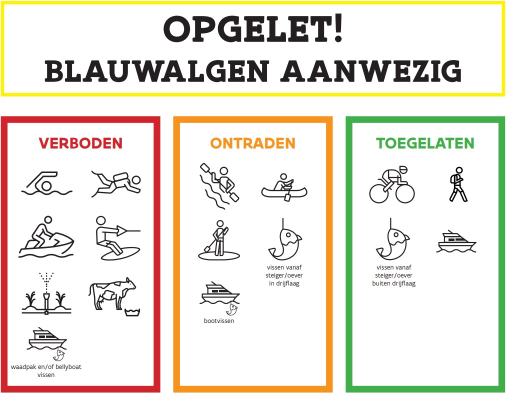 Waarschuwing Blauwalgen